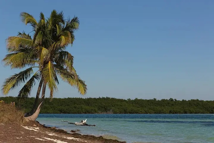Photo of Bahia Honda State Park, Big Pine Key
