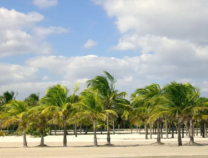 Photo of Crandon Park Roller Rink, Key Biscayne