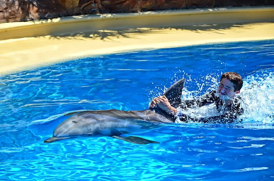 Photo of Dolphins Plus, Key Largo
