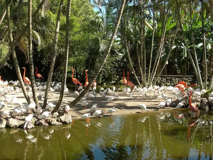 Photo of Flamingo Gardens, Davie