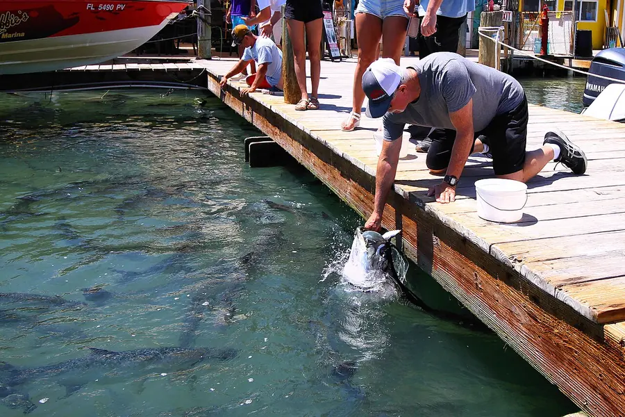 Stand-in photo for Islamorada Fishing Charters, Islamorada
