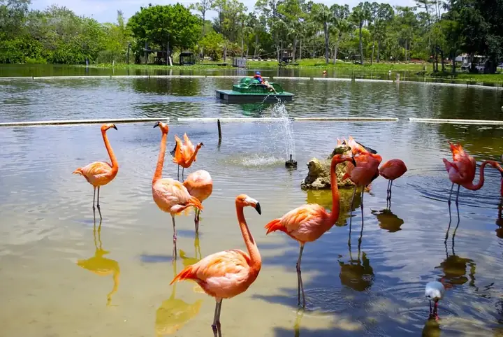 Photo of Lion Country Safari, Loxahatchee