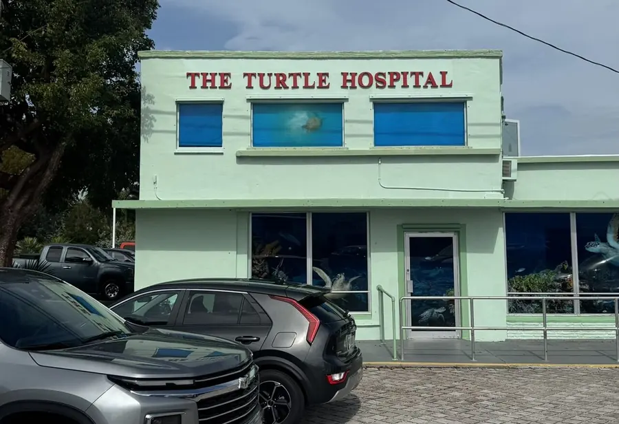 Photo of Turtle Hospital, Marathon